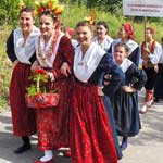 Sveani mimohod uesnika manifestacije